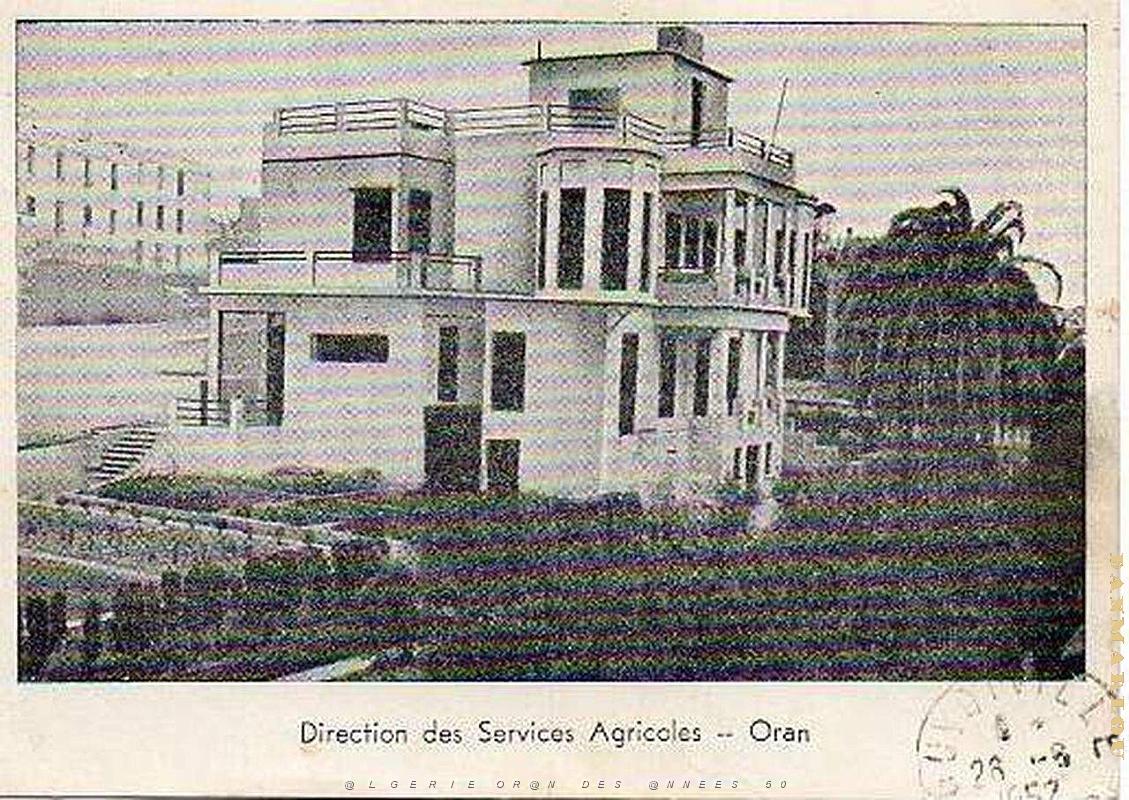 ORAN RUE INCONNUE (1).JPG